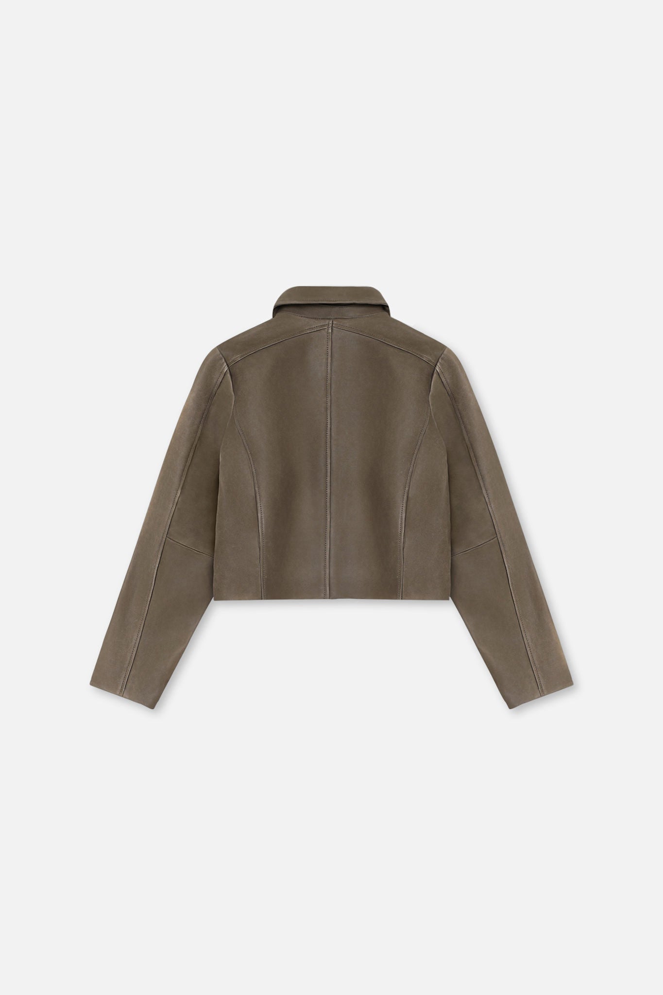 Dalia Panel Leather Jacket - Won Hundred Online Store